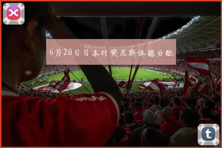 6月20日日本对突尼斯体能分配