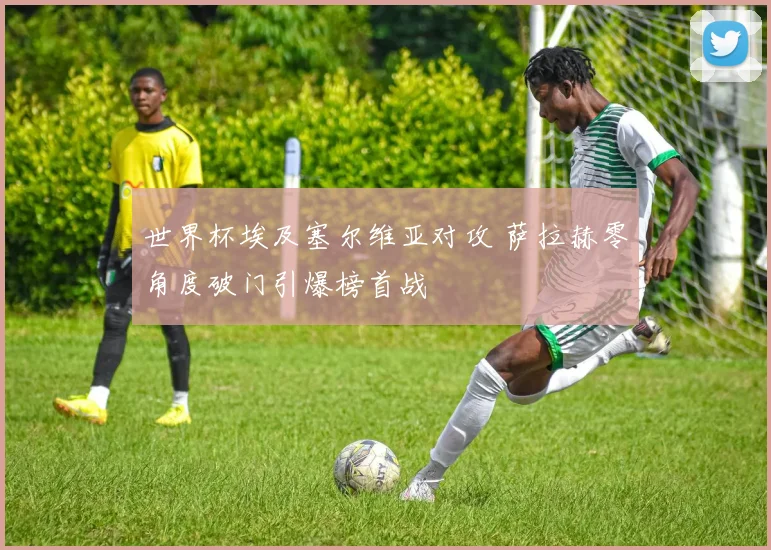 世界杯埃及塞尔维亚对攻 萨拉赫零角度破门引爆榜首战