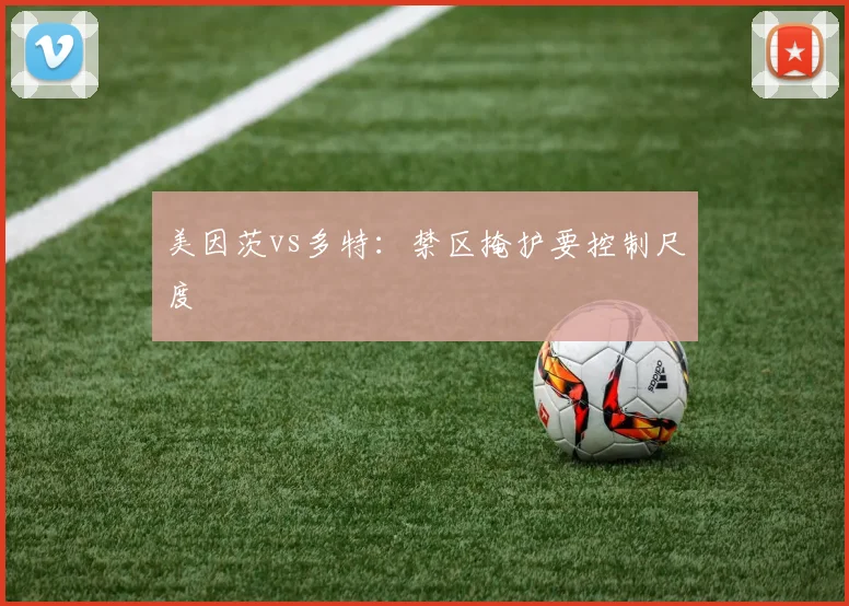 美因茨vs多特：禁区掩护要控制尺度